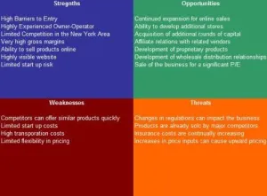 Long Term Care Facility SWOT Analysis Plus Business Plan